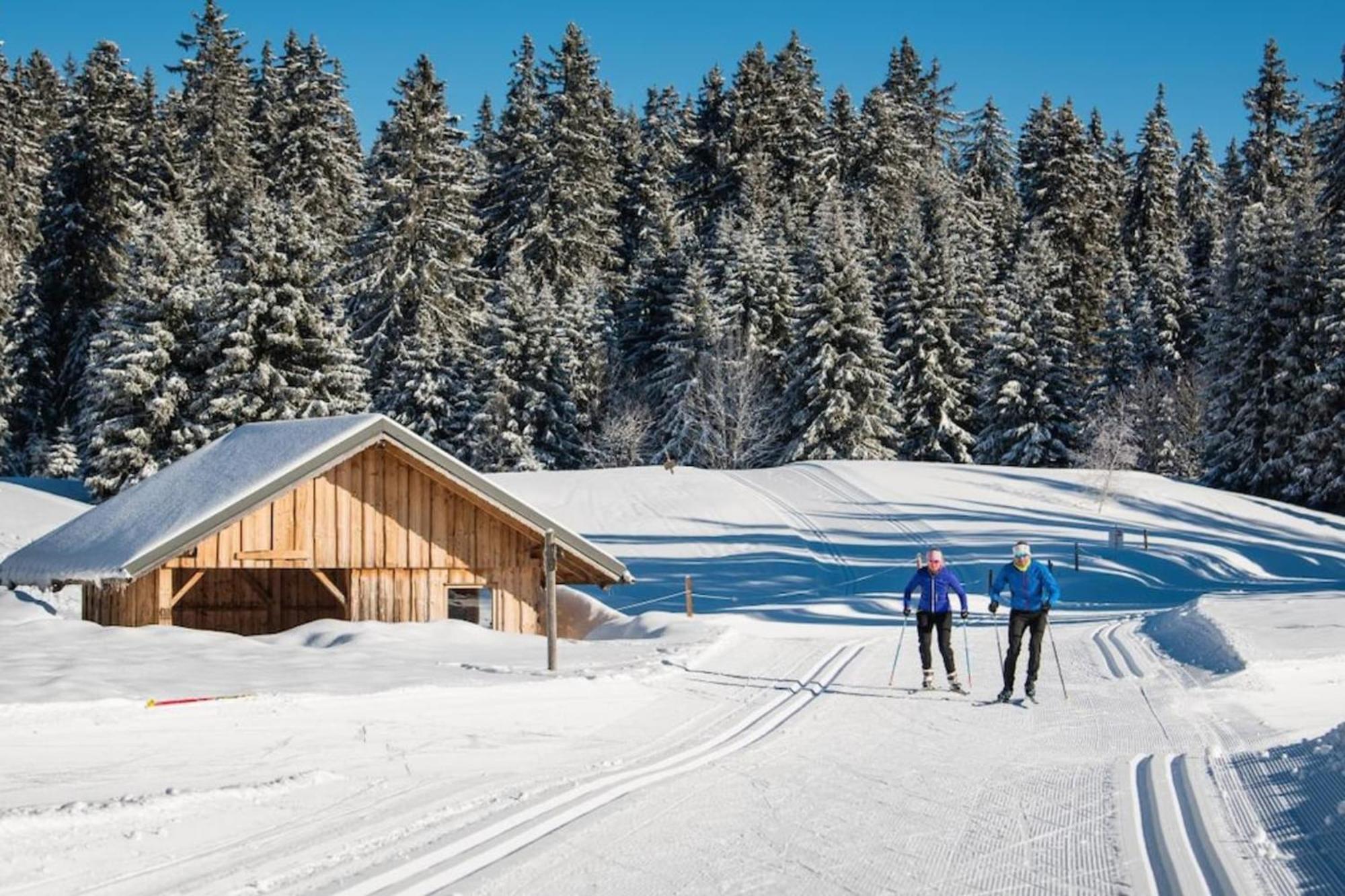 Superbe Appartement Au Pied Des Pistes -Le Chamois Les Deserts  Екстер'єр фото